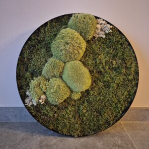 Mosschilderij Natuurlijk en Uniek 48 cm - verkocht