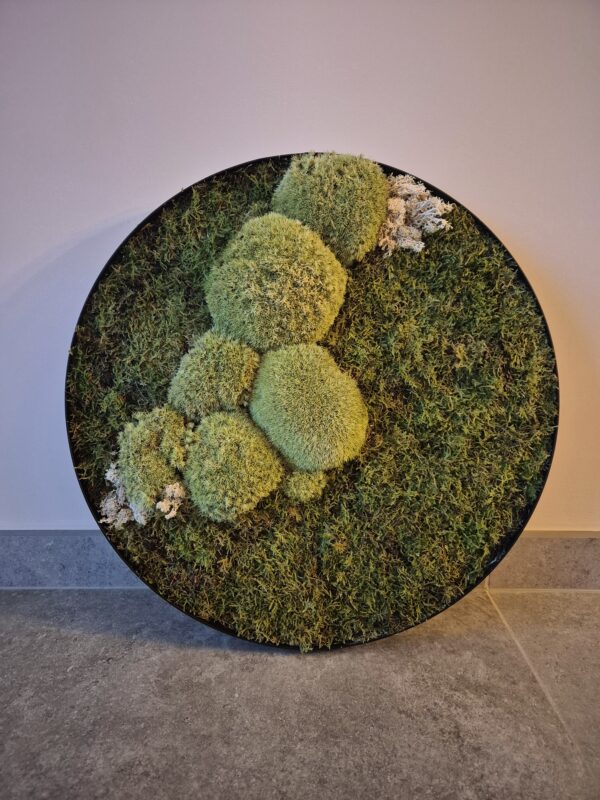 Mosschilderij Natuurlijk en Uniek 48 cm - verkocht