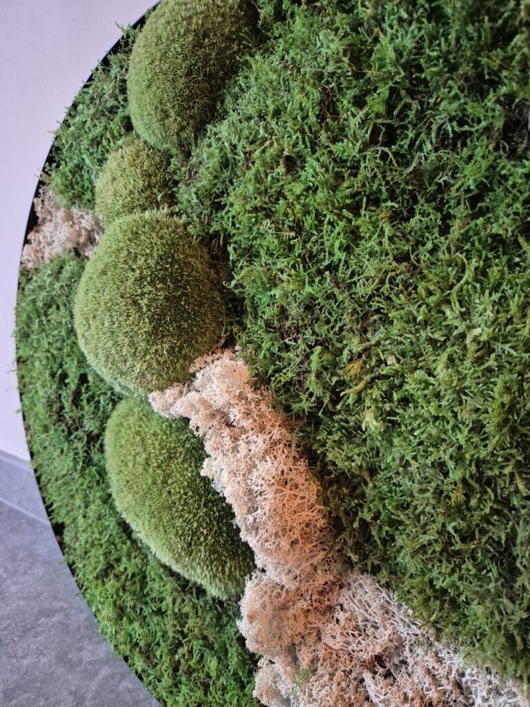 Niet beschikbaar Mosschilderij Natuurlijk & Uniek - 48 cm
