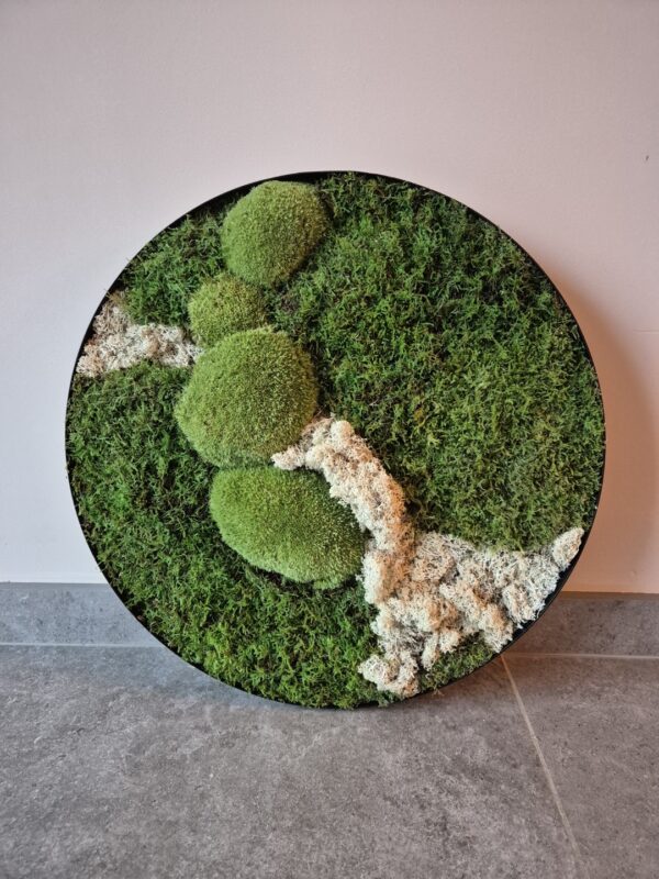 Niet beschikbaar Mosschilderij Natuurlijk & Uniek - 48 cm - Afbeelding 2